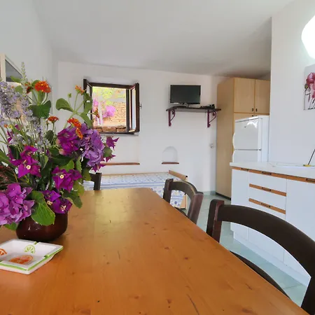 Morcone - Goelba * カポリーヴェリ